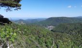 Tocht Stappen Murol - AUTOUR DU LAC CHAMBON  - Photo 9