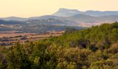 Randonnée Marche Pierrefeu-du-Var - Portanière - Beguin - Sauvecanne - Cogolins - Cabane des gardes - Fontaine Pétou - Les Davids - Photo 5