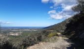 Trail Walking Laroque-des-Albères - Laroque-des-Albères . ballade de 2 fontaines  - Photo 5