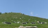 Trail Walking Stosswihr - Sentier des roches, hohneck, schiessrothried - Photo 1