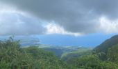 Tocht Stappen L'Ajoupa-Bouillon - Montagne pelée  - Photo 7