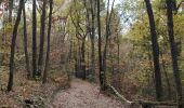 Trail Walking La Fouillouse - Randonnée au dessus de La Fouillouse  - Photo 10