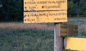 Tour Wandern Entraigues - Le Villard Le Garga La Salette 24 août 2020 IBP 170 CAF Ecrins - Photo 6