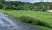 Tour Pfad Sainte-Anne - St Anne  - Photo 2