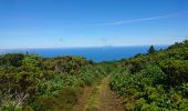 Tocht Stappen Cedros -  caldeira Faial - Photo 12