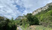 Trail Walking Seynes - Le tour du Mont Bouquet - Photo 15