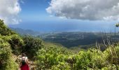 Tocht Stappen Saint-Claude - La Soufrière (retour) - Photo 6