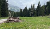 Trail Walking Gemeinde Obernberg am Brenner - 3eme Rando Innsbruck  - Photo 2