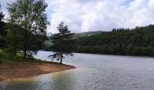 Tocht Stappen Stavelot - Tour du lac de Coo   - Photo 5