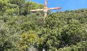 Tocht  Plan-d'Aups-Sainte-Baume - Rando Chantal  - Photo 14