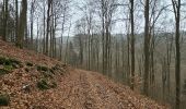 Tour Wandern Monschau - A la découverte de Rohren 🥾 - Photo 10