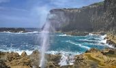 Randonnée Marche Anse-Bertrand - Guadeloupe - Porte d'Enfer à Pointe du Souffleur  - Photo 1