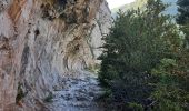 Excursión Senderismo Etsaut - Boucle Chemin de la mature. Etsaut - Photo 3