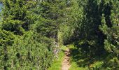 Tour Wandern Enneberg - DOLOMITES 03 - Refugio Sennes 2126 m - Photo 15