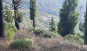 Trail Walking Tejeda - Cuevas del Caballero (Gran Canaria) - Photo 15