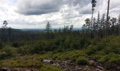 Randonnée Marche Walscheid - Elsassblick,Refuge des Bûcherons, Altmatt,M.F. du Grossmann  - Photo 8