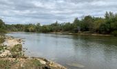 Excursión Bici de montaña Nîmes - St Chaptes - Photo 3