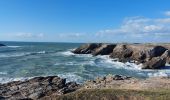 Trail Walking Saint-Pierre-Quiberon - PR_56_St-Pierre-Quiberon_BA_02_Circuit4a_Entre-Baie-Et-Ocean_20240303 - Photo 2