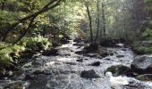 Trail Walking Jalhay - Vallée de la Hoëgne  - Photo 20