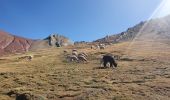 Tour Wandern Checacupe - Palccoyo - Rainbow Mountain - Photo 4