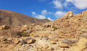 Trail Walking Pájara - LZ6 - Arco de Las Penitas (L'arche des Penitas . Lanzarote) - Photo 1