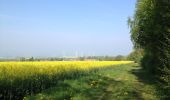 Tocht Te voet Immenhausen - Eco Pfad Ahlberg-Mariendorf - Photo 8