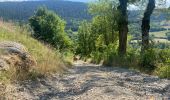 Excursión Bici de montaña Sévérac d'Aveyron - Fait GTMC 2022 E10 Montrodat - Photo 2