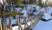 Trail On foot Kuusamo - Oulanka Wilderness Trail (Winter Trail) - Photo 3