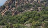 Trail Walking Le Muy - roquebrune argens - Photo 3