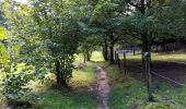 Trail Walking Incourt - La promenade des grosses pierres ( 4,9km ) - Photo 1