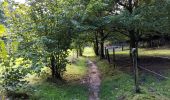 Tour Wandern Incourt - La promenade des grosses pierres ( 4,9km ) - Photo 1