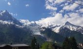 Randonnée Marche Chamonix-Mont-Blanc - Gare de Chamonix aux Houches par l'Arve - Photo 16