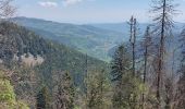 Tour Wandern Stoßweier - Stosswihr L'Altenberg Le Sentier des Roches - Photo 4