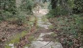 Trail Walking Mazan - Mazan - Sentier Pierre sèche - Chapelle ND des Anges - Photo 2