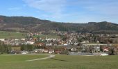 Trail On foot Gemeinde Hainfeld - Hainfeld Kirche - Gasthaus Haxenmühle - Photo 6