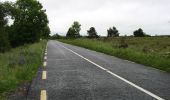 Trail On foot Roscommon Municipal District - Easgaidh - Photo 7