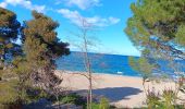 Percorso Marcia Argelès-sur-Mer - argeles - collioure / retour par la mer  - Photo 3