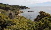 Tour Wandern La Croix-Valmer - GIGARO - CAP LARDIER A/R - Photo 7