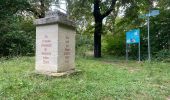 Tour Zu Fuß Naumburg (Saale) - Kaltes Tal Wanderweg - Photo 1