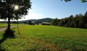 Tour Zu Fuß Bad Brambach - Wanderweg grüner Strich - Photo 3