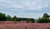 Trail Walking Zonhoven - de-wijers-de-teut-instapplaats-donderslagseweg-blauw - Photo 9