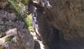Trail Walking Bouvante - 26 gorges lyonne 23.08.23 - Photo 1