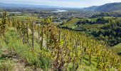 Tour Wandern Tournon-sur-Rhône - Tournon chemin St Joseph - belvédère de Pierre - Photo 5