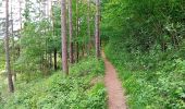 Excursión A pie okres Ružomberok - Naučný chodník Kalameny - Liptovský hrad - Photo 6