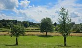 Tour Wandern Vuren - A la découverte de Fourons 🥾 - Photo 13