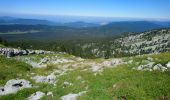 Tour Wandern La Chapelle-en-Vercors - la Sarna /Roche Rousse - Photo 4