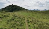 Trail Walking Arrens-Marsous - col de soulor, lac de soum, col de bazes, col de soulor  - Photo 14