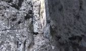 Excursión Senderismo Cheval-Blanc - Gorges du régalons - retour Mayorques - Photo 3