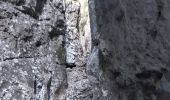 Percorso Marcia Cheval-Blanc - Gorges du régalons - retour Mayorques - Photo 3