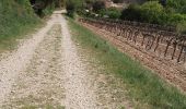 Trail Walking Vitrolles-en-Luberon - vitrolles en Lubéron. piegros depuis le village  - Photo 1